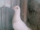 Photo0170