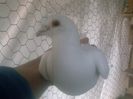 Photo0172