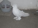 SAM_0157