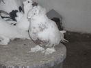 SAM_0163