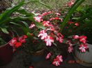 DSC00757