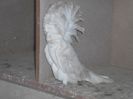 SAM_0170