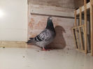 20130214_184037