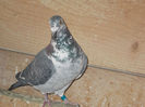 DSCN0320