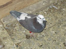 DSCN0353