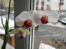 15.02.2013 023