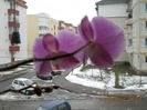 15.02.2013 032