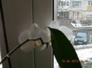 15.02.2013 050