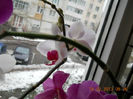 15.02.2013 052