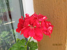 Picture2012 043