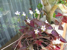Picture2012 045
