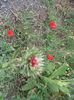 Picture2012 209