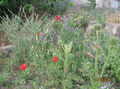 Picture2012 210