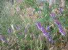 Picture2012 211