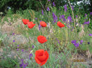 Picture2012 212