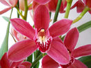 DSCN0922