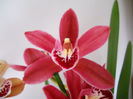 DSCN0925