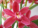 DSCN0926