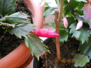 DSCN2637