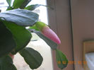 DSCN2638