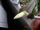DSCN2641