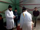 Papp Ernest - Șef Comisie Arbitri