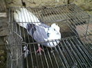 Ady91-0090