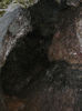 P1210645