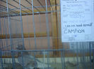 DSC01794