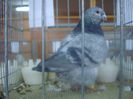 DSC01842