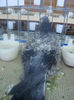 DSC01849