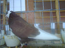 DSC01852