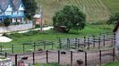 111. Strutii de la SIRNEA.-2