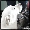... |Intra; se aseaza langa semineu; se uita la usa; :o3| ...