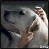 ...| da cu labuta`n mana lui :o3| ..