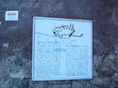 P1250828