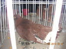 My pictures 030