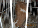 My pictures 033