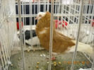 My pictures 035