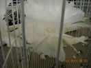 My pictures 041