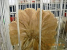 My pictures 042