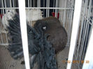 My pictures 044