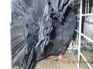 My pictures 045