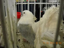 My pictures 046