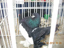 My pictures 048