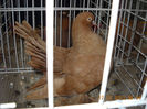 My pictures 050