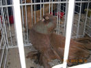 My pictures 051