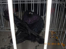 My pictures 052