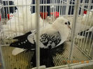 My pictures 060