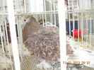 My pictures 065